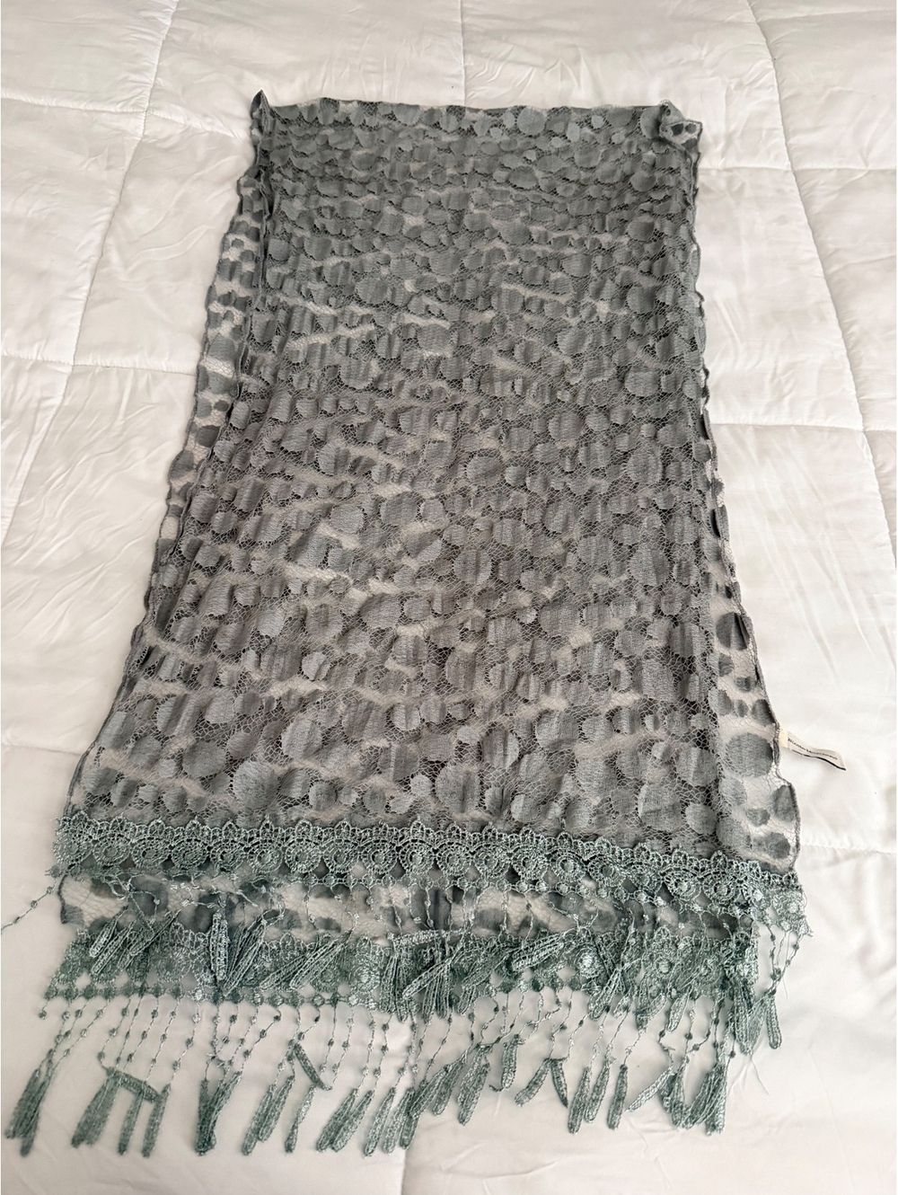 Nicole Marciano Gray Lace Scarf with Beaded Fringe